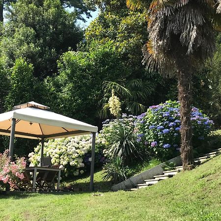 Appartamento La Camelia Ameno Ngoại thất bức ảnh