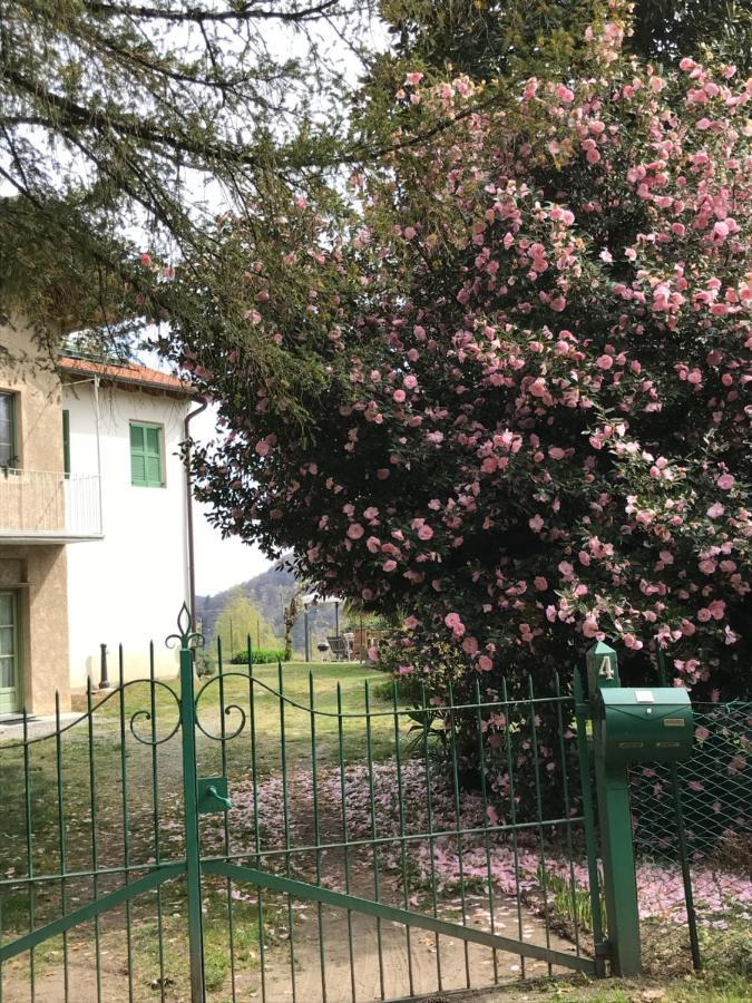 Appartamento La Camelia Ameno Ngoại thất bức ảnh